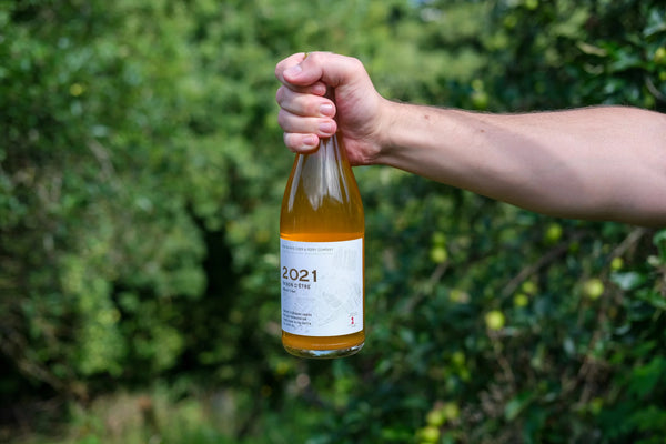 Ross-On-Wye - Raison d'Etre 2021 - Natural Cider - 8.4% - 750ml Bottle